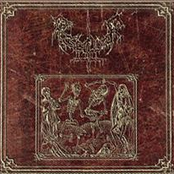 Misanthropic Nihilistic Terror