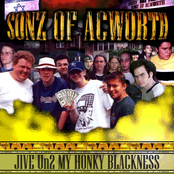 Jive Un2 My Honky Blackness