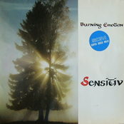 Sensitiv