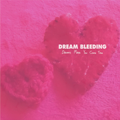 Dreams Make You Come True