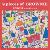 9 Pieces of Brownie