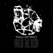 trash the neon