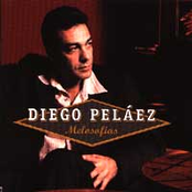 diego pelaez