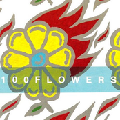 Virtually Nothing by 100 Flowers