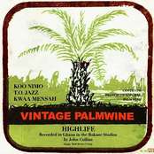 Vintage Palmwine