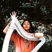 Low Leaf: Palm Psalms: A Light to Resolve All Darkness