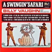 A Swingin' Safari