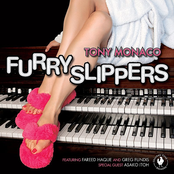 Furry Slippers