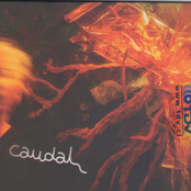 Caudal