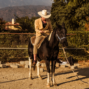 Money Conversation - Single