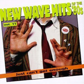 New Wave Hits Of The 80's: Just Can't Get Enough, Vol. 11