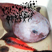 six disgusting mistakes