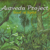 aurveda project