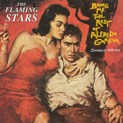 Revenge by The Flaming Stars
