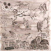 One Thousand Birth Felt