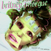 Pieces of the Mirror