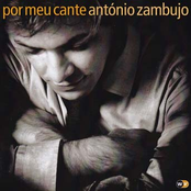 Verão by António Zambujo