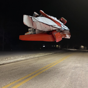 Birds Flying Into The Ground