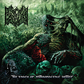 The Epoch Of Anthropogenic Deities