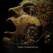 Fiber Tormentum