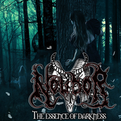 The Essence Of Darkness