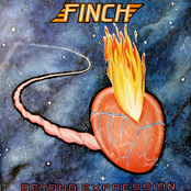 Beyond The Bizarre by Finch