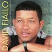 david fiallo