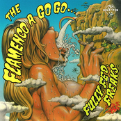 Forget All Things by The Flamenco A Go Go