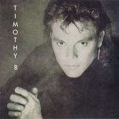 Everybody Needs A Lover by Timothy B. Schmit