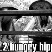 two hungry hippos