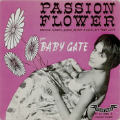Passion Flower