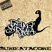 SurikataCore Demo