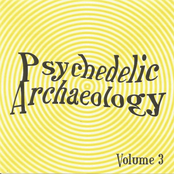 Psychedelic Archaeology Vol 3