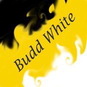 Budd White