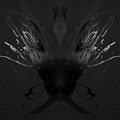 We Gonna Wait The End of The World But In The Meantime We Gonna Love The Rain