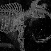 A Digestible Society