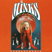 The Minks: Light & Sweet