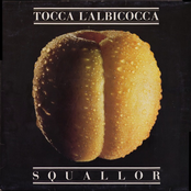 Tocca l'albicocca