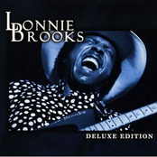 Hoodoo She Do by Lonnie Brooks