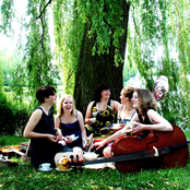 Pink Apple Pie - Our Kitchen