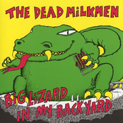 The Dead Milkmen: Big Lizard In My Back Yard