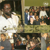 Salim Washington: Strings