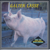 Galten Lasse
