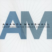 If I Didn't Have You by Amanda Marshall