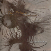 The Prince