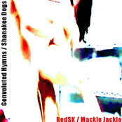 Convoluted Hymns / Shanakee Dogs