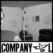 Company L Demos