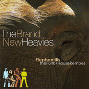 Elephantitis: The Funk+House Remixes