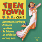 Teen Town U.S.A. Vol. 5