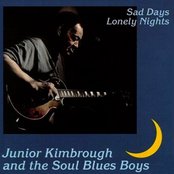 Junior Kimbrough - Sad Days, Lonely Nights Artwork